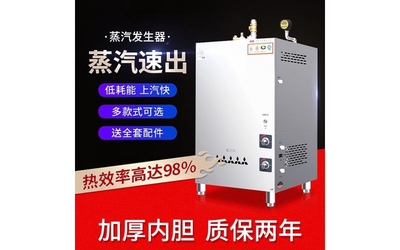燃氣蒸汽發(fā)生器商用液化天然氣煮豆腐煮漿釀酒蒸饅頭蒸汽機
